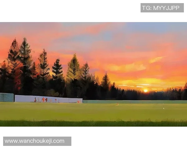 白色发带飞驰绿茵场激情与优雅并存的足球传奇 白色发带飞驰绿茵场激情与优雅并存的足球传奇